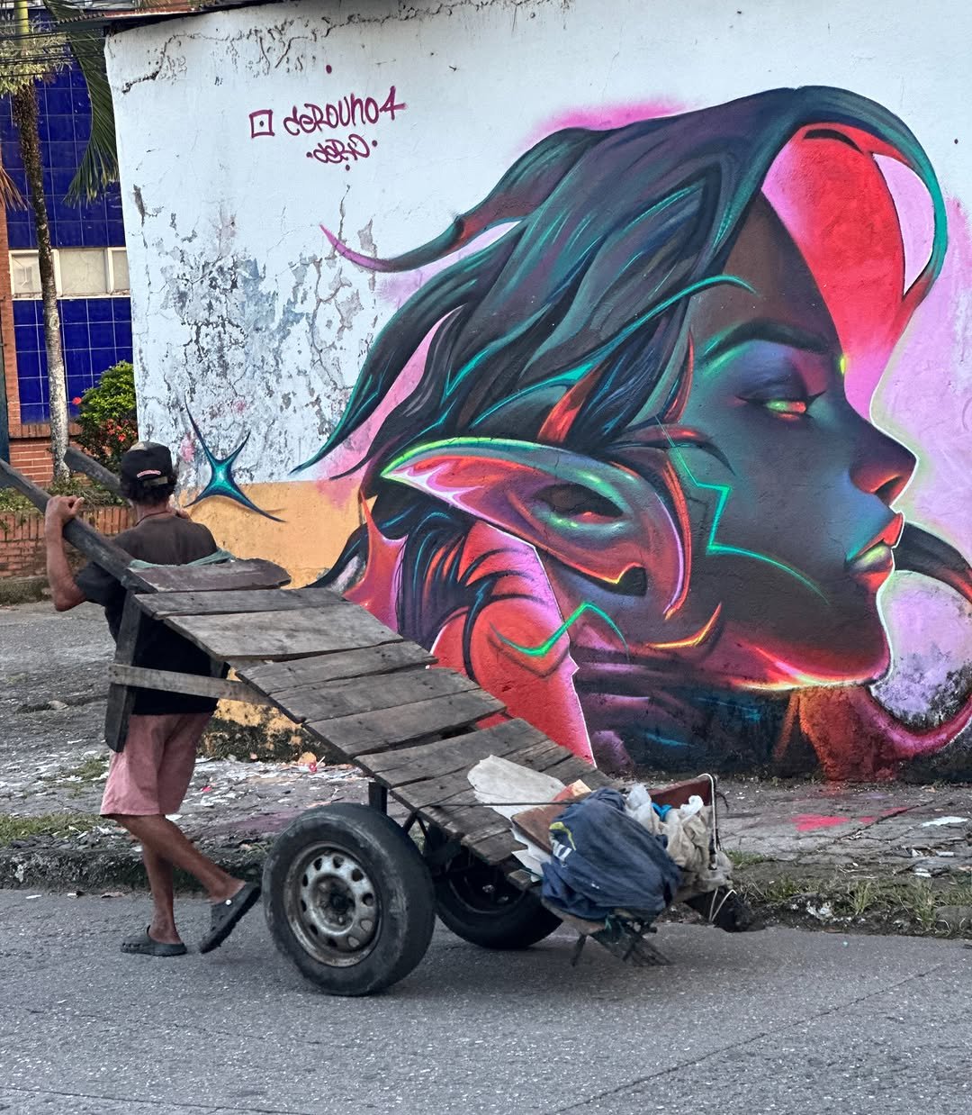 Dominguera pintada